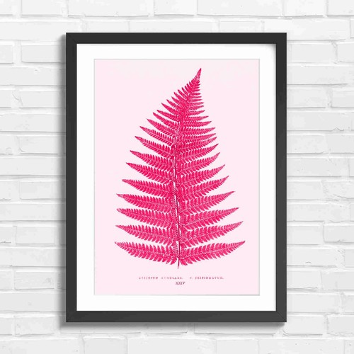 Botanical fern leaf - fern,