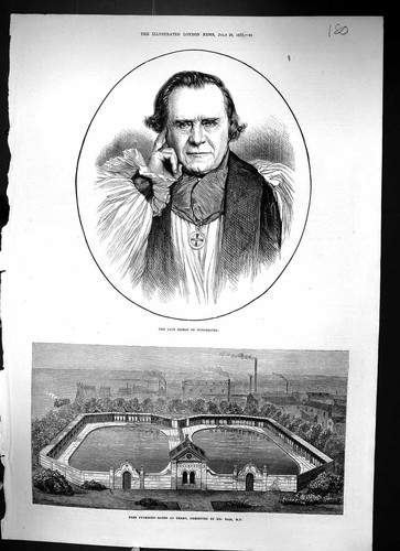 Antique old print 1873 - print,