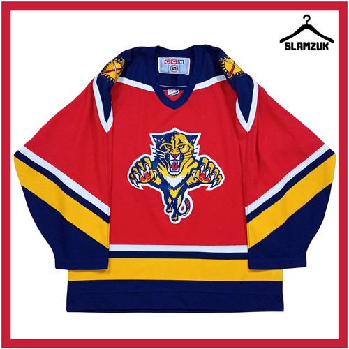 Florida panthers ice hockey - panthers,