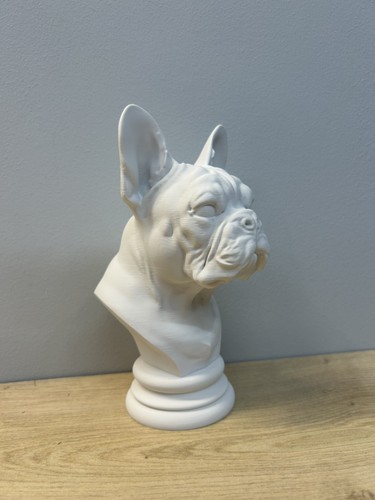 French bulldog bust statue - bust,