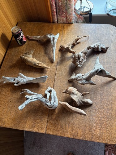 Driftwood best quirky - best,