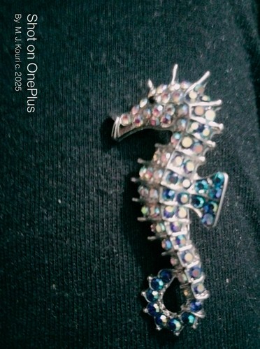 Darling vintage sea horse pin - vintage,