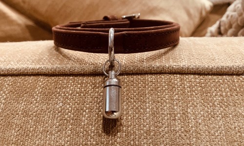 Wainwrights dog collar leather - wainwrights,