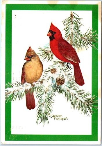 Postcard cardinals by sherm - cardinals,