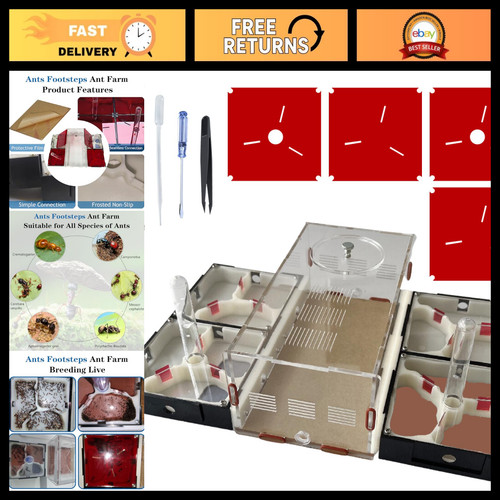 Diy ant farm terrarium - farm,
