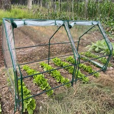 Greenhouse Garden Flower Plant