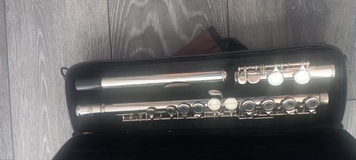 Eastar key beginner flute - eastar,