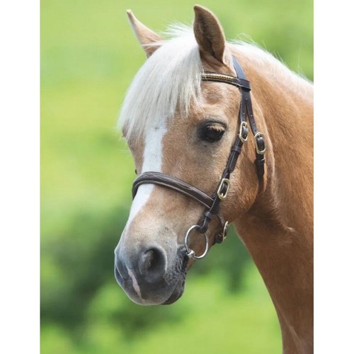Shires blenheim clincher - shires,