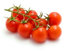 Cherry Tomato Gardener's