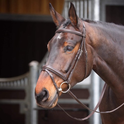 Shires horse velociti gara - shires,