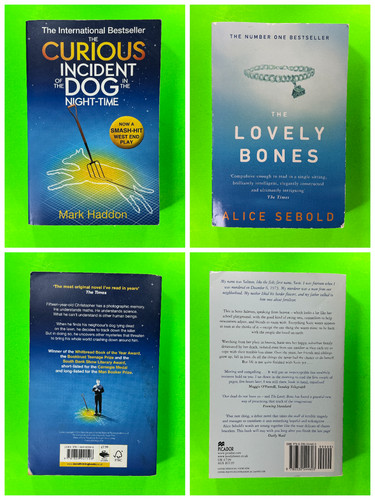 Bestselling contemporary - bestselling,
