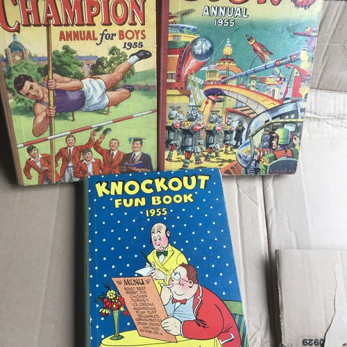 Knockout fun book - , lion