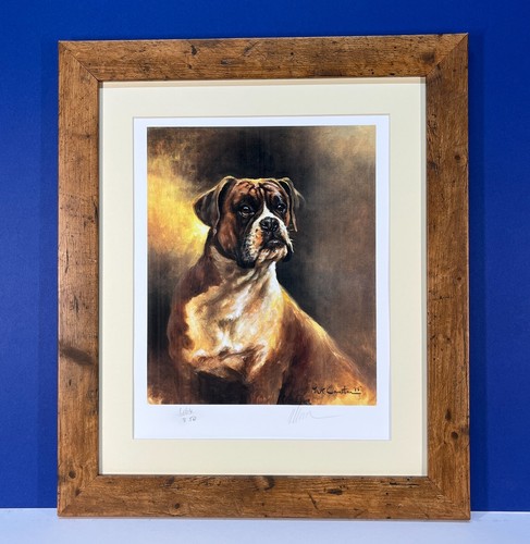 Boxer dog mick - dog, cawston