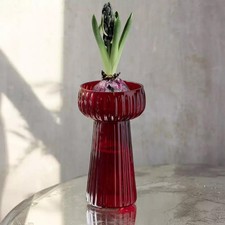 Ribbed Hyacinth Vase, Spring