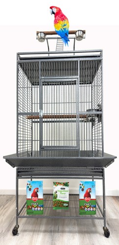 Large parrot bird perch - bird, stand