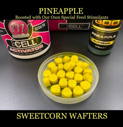 Boilies mainline cell - mainline,
