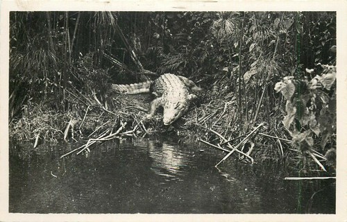 Congo pointe noire - congo, on
