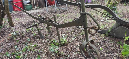 Horse drawn cultivator - horse,