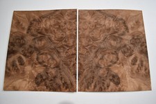 Walnut Burr / Burl - 2