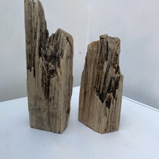 Driftwood pieces ideal for