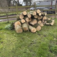 Firewood logs wood log burner - wood,