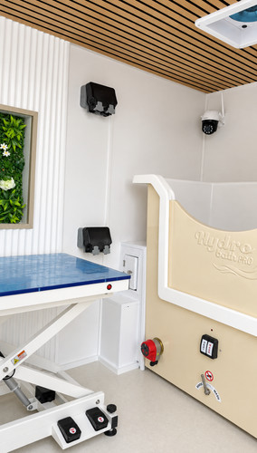 Bespoke dog grooming - dog,