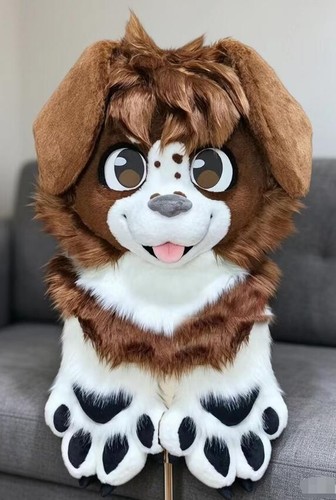 Fursuit long fur - husky, fox