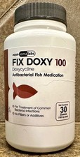 FOR FISH Aquariums & FISH