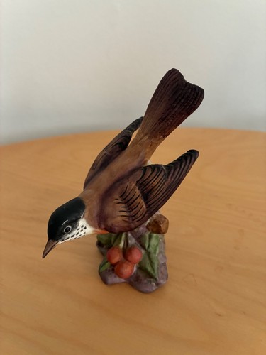 Royal worcester american robin - worcester,