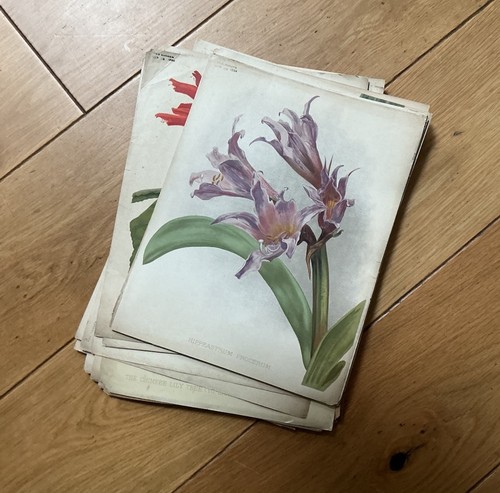 The garden magazine 1890 - 1890, to