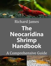 The Neocaridina Shrimp