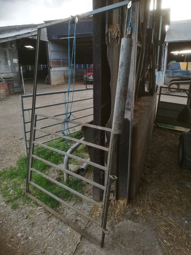Guillotine gate sheep - , handling