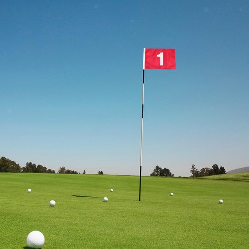 6 inch golf flag - x,