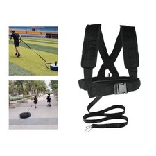 Sled Harness, Power Sled