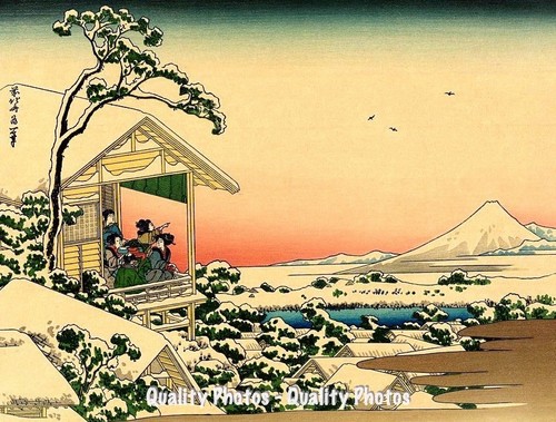 Snowy japanese teahouse wth - japanese,