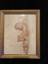 VINTAGE JOSEPHINE MARSH  WILDLIFE LION FAMILY  FRAMED ART. Slightly Water Mark