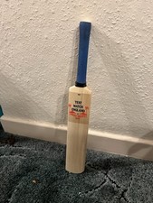 Mini Cricket Test Match