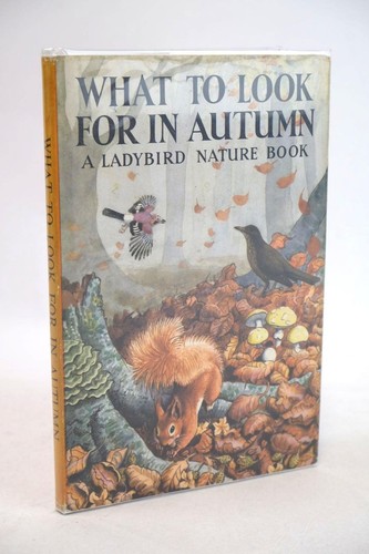 What look for autumn - what,