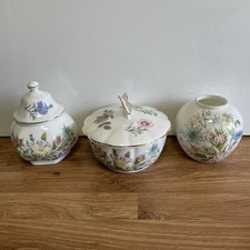 Vintage Aynsley "Wild Tudor" x