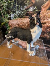 Country Artists A breed Apart