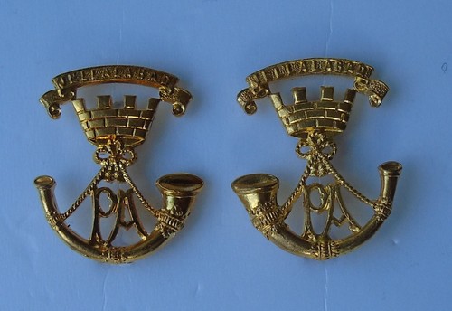 Somerset light infantry collar - somerset,