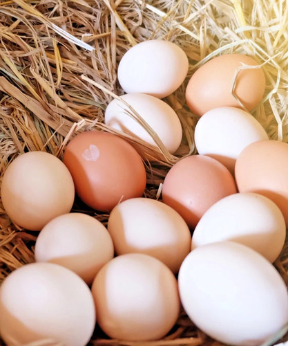 Free range eggs from - eggs, big