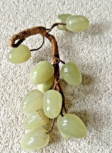 Ornamental grapes possibly - ornamental,