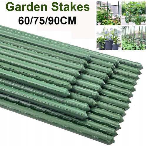 Garden plant stakes flower - plant,