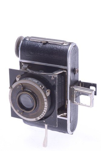 Welta gucki 3x4cm strut - ✅,
