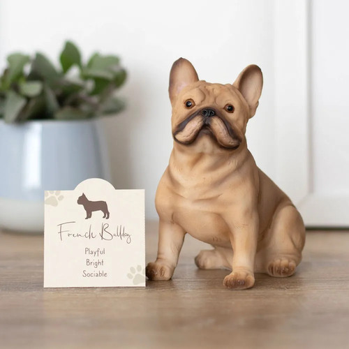 French bull dog resin ornament - french,
