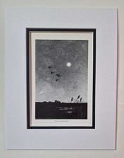 WATKINS-PITCHFORD (BB) Geese