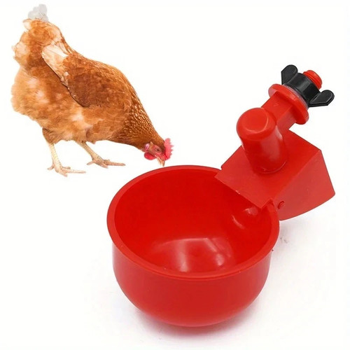 Automatic chicken water - chicken,