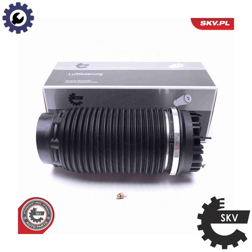 Air spring suspension - spring,