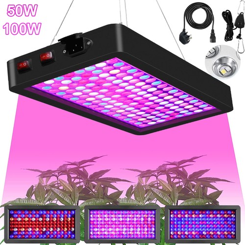 Full spectrum grow lights - spectrum,